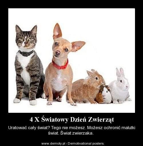 FB_IMG_1664874567411