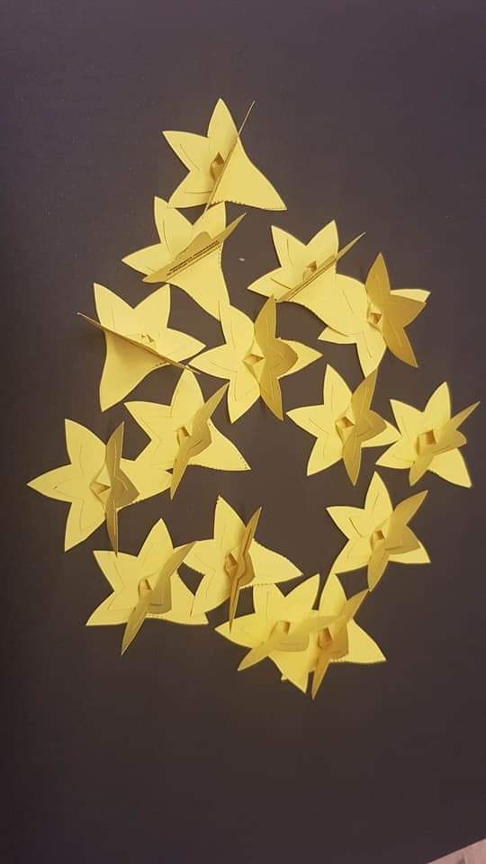 FB_IMG_1681933556001