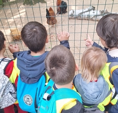 506539650_1260744845838573_6870090333308433251_n