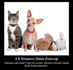 FB_IMG_1664874567411