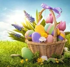 FB_IMG_1680857807197