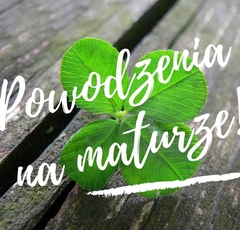 FB_IMG_1683174221026