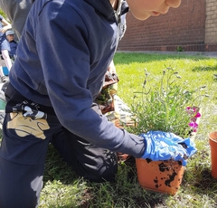 received-422414059238621 (1)