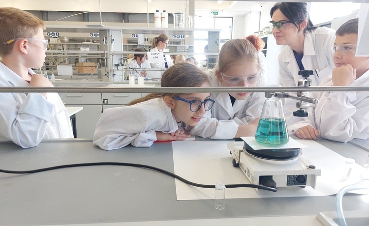 285833335_1389136761606568_5678433948317141401_n