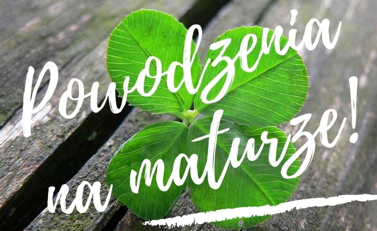 FB_IMG_1683174221026