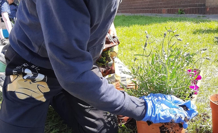 received-422414059238621 (1)