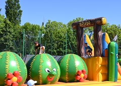 281439443-1376061576247420-3032689716810496121-n