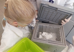 285810428-1389136848273226-8585596632780350055-n