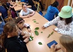 288194312-1392871767899734-4601851772120566136-n