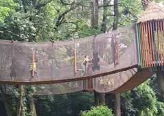 505228326-1260744775838580-8416027014197208808-n