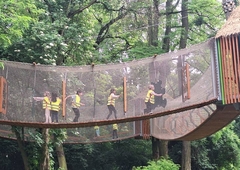 505248096-1260744682505256-3155232407384910889-n