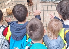 506539650_1260744845838573_6870090333308433251_n