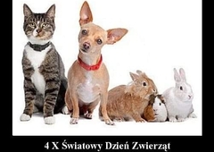 FB_IMG_1664874567411