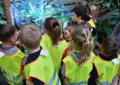 received-3112148225742853