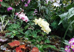 received-669782301329189